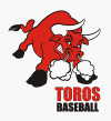 Toro1 Logo.gif (18050 bytes)
